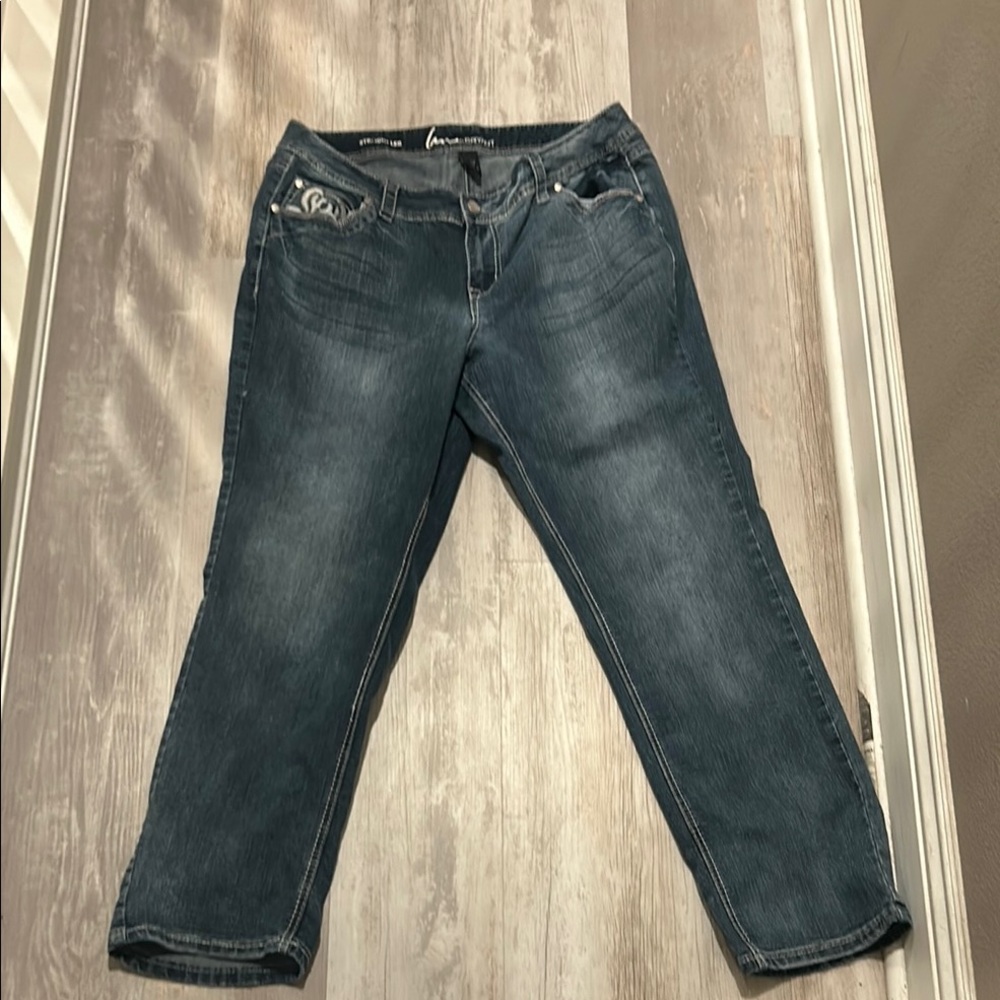 American Eagle Outfitters Dark Wash Ankle Jeans